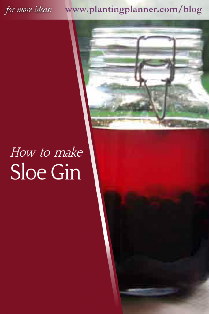 How to make sloe gin - from Weatherstaff garden design software