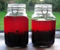 Sloe Gin