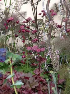 Garden Planting Styles - Astrantias in a courtyard garden Garden Planting Styles - Astrantias in a courtyard garden