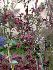 Garden Planting Styles - Astrantias in a courtyard garden