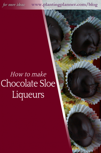 How to make chocolate sloe liqueurs - from Weatherstaff garden design software