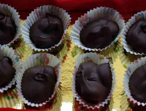 Sloe chocolate liqueurs gardening software blog