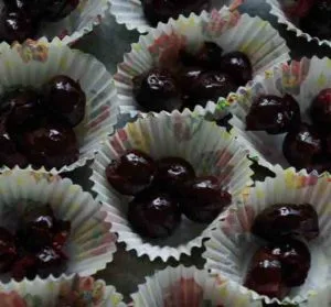 Sloes in paper cases gardening software blog