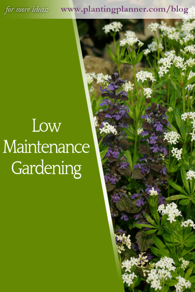 Low Maintenance Gardening - from Weatherstaff garden design software