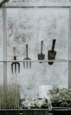 Garden tools - low maintenance gardening