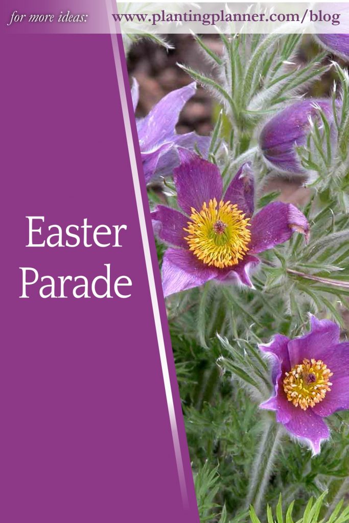 Easter Parade - from Weatherstaff garden design software