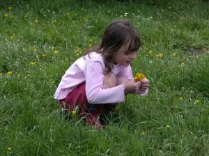 Girl picking flowers Child in family friendly garden