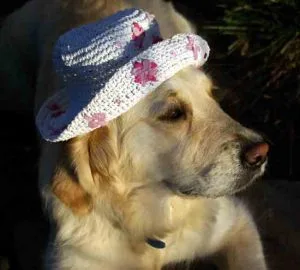 Marnie, the Easter Belle Marnie Easter blog, Garden Design Software