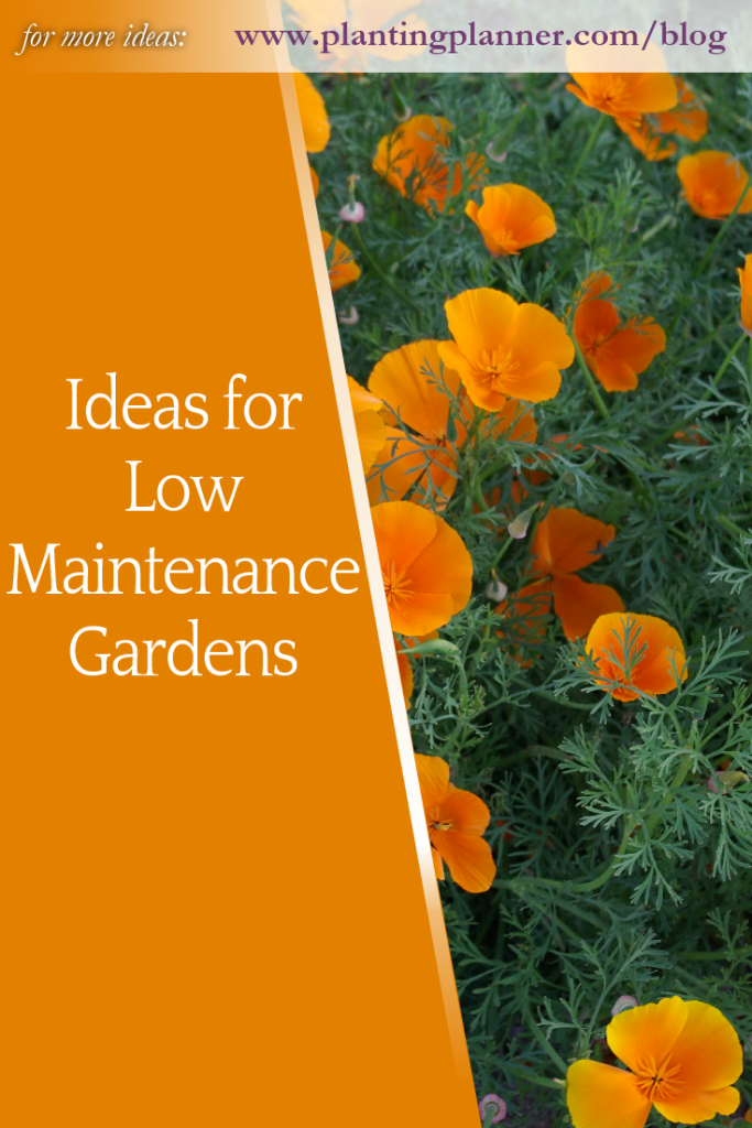 Ideas for Low Maintenance Gardens - from Weatherstaff garden design software