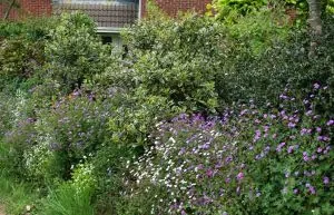 Informal hedging Informal hedging low maintenance