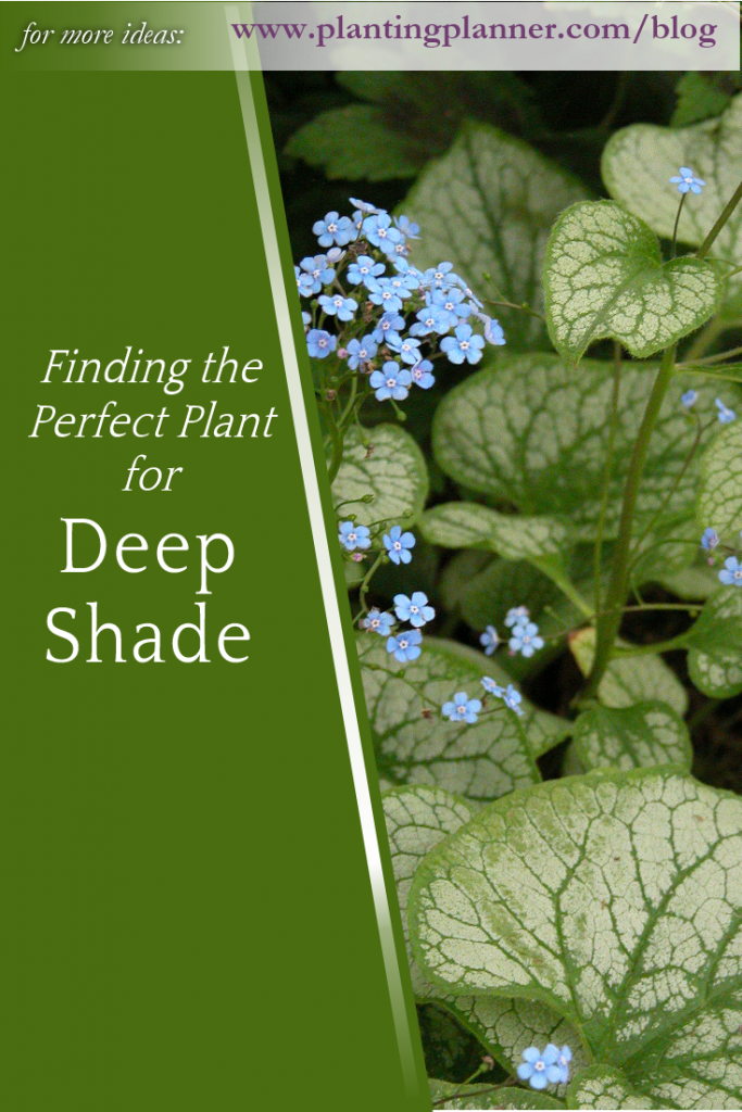 Finding the Perfect Plant for Deep Shade - from Weatherstaff garden design software