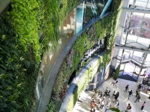 The living wall at Siam Paragon shopping mall, Bangkok