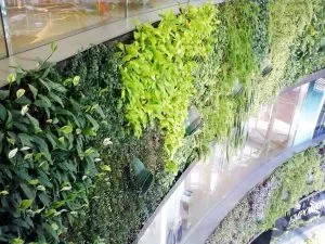 A tapestry of greens - garden design blog