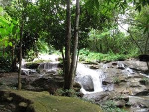 Waterfall Trail