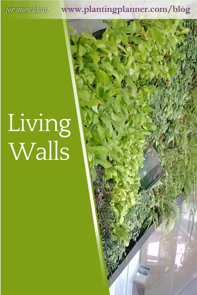 Living Walls - from Weatherstaff garden design software