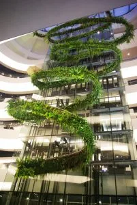 Rainforest Chandelier - garden design, landscape design