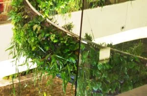 Rainforest chandelier close-up, from garden design blog
