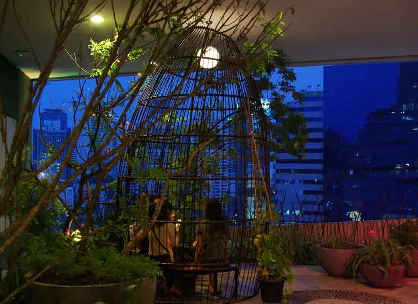 Watching the city landscape design