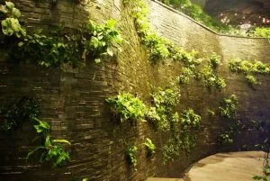curved wall landscape design software