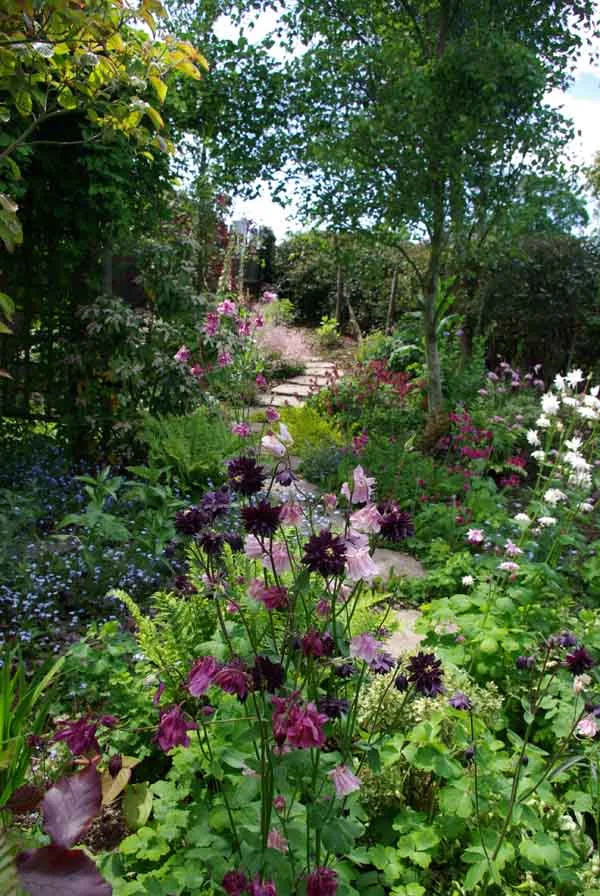 Spring flowers landscape garden ideas
