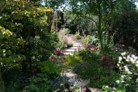 Stepping stones landscape design ideas