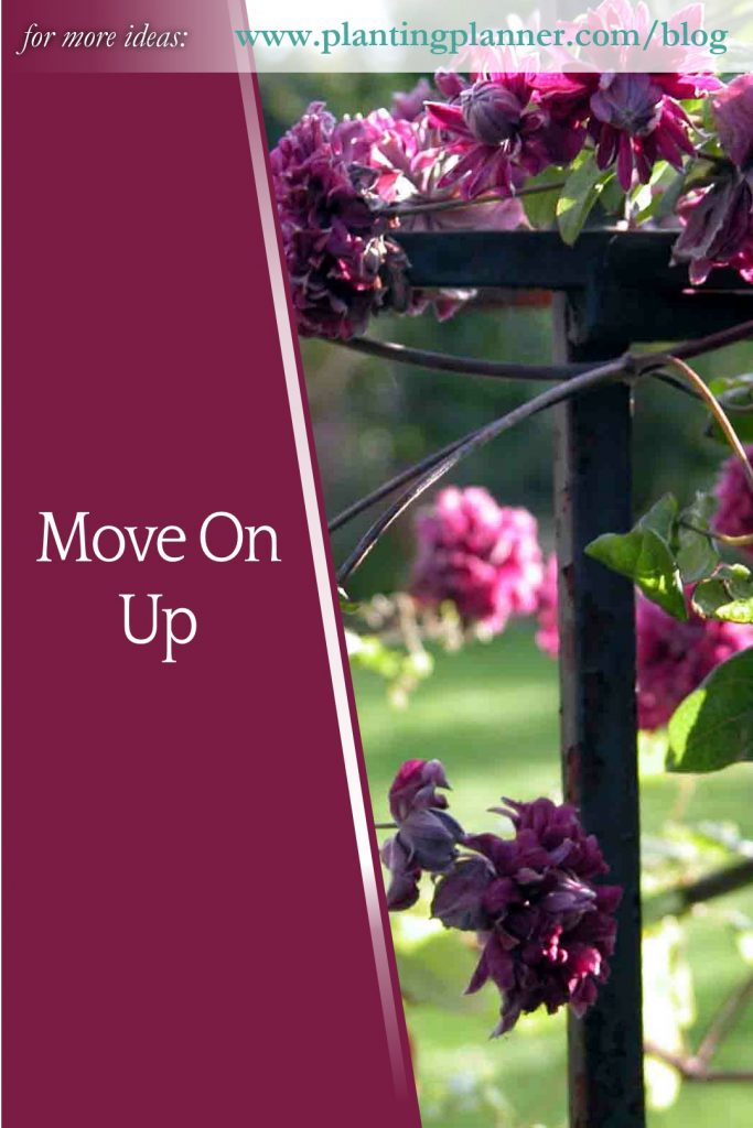 Move On Up - from Weatherstaff garden design software