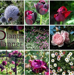 The Weatherstaff PlantingPlanner - garden design software
