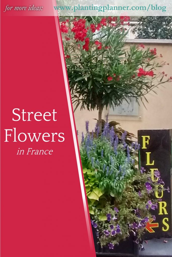 Street Flowers in France - from Weatherstaff garden design software
