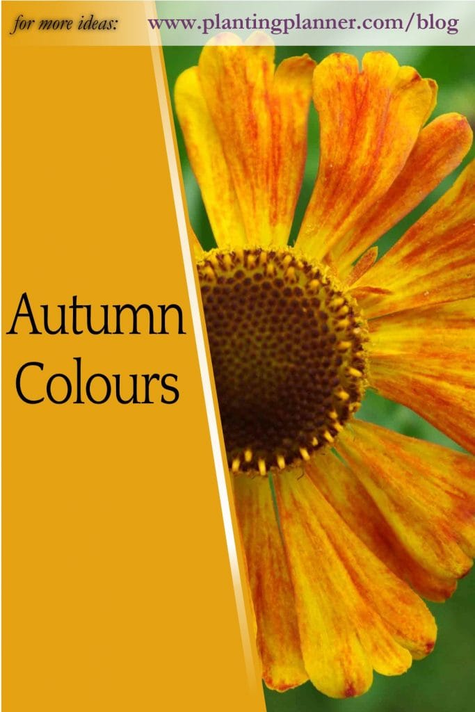 Autumn Colours - from Weatherstaff garden design software