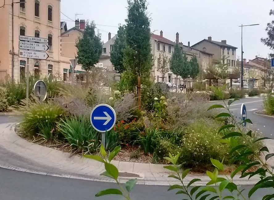Roundabout Planting Plans