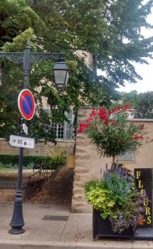 Street planting - border ideas