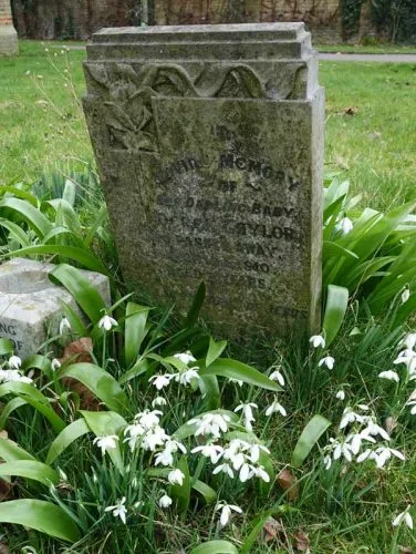 Snowdrops and gravestones