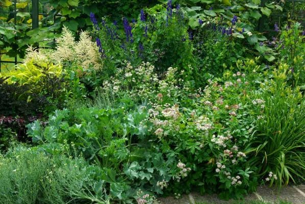 Garden Border Ideas – In Search of the Wow Factor – Gardening Ideas ...