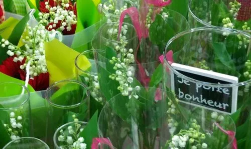 Lily of the valley, bringing luck and happiness on the Fête du Muguet from the Weatherstaff blog