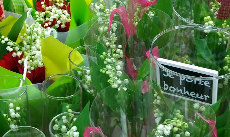 Lily of the valley, bringing luck and happiness on the Fête du Muguet from the Weatherstaff blog