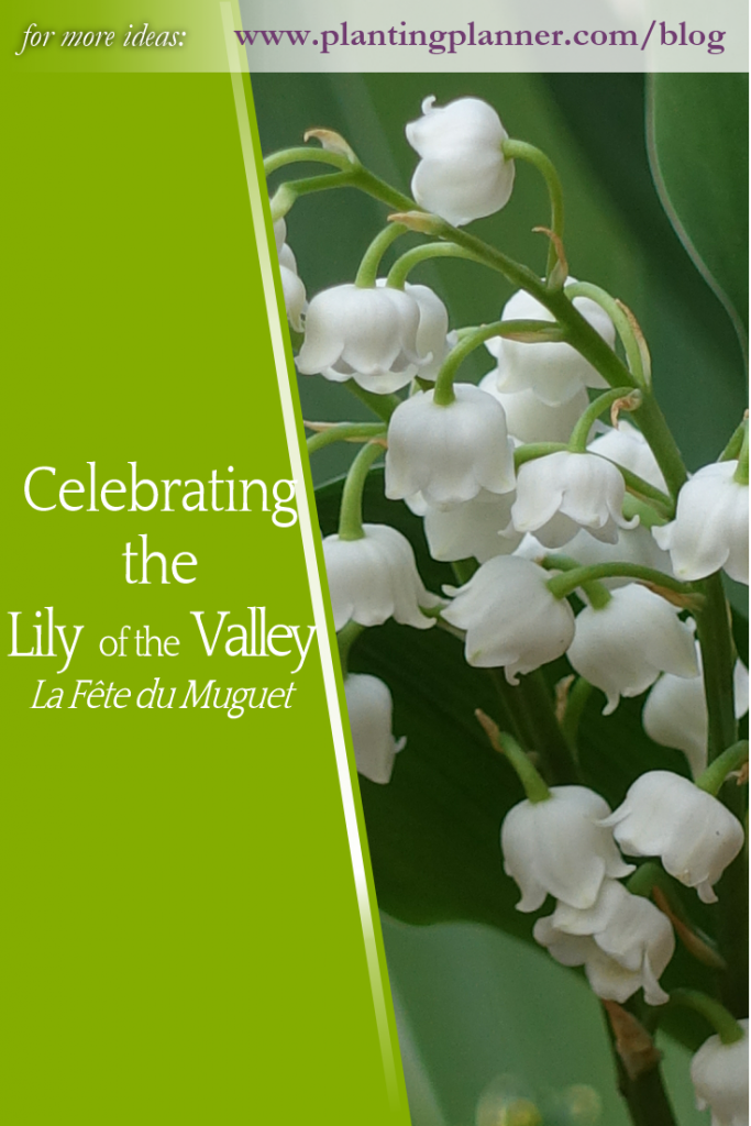 Celebrating the Lily of the Valley - from Weatherstaff garden design software