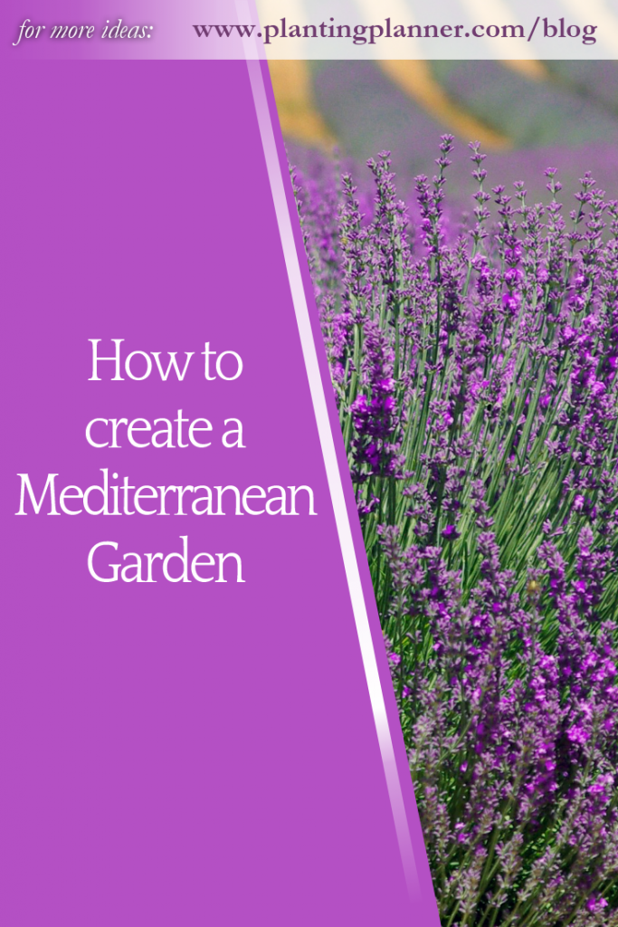 How to create a Mediterranean Garden from Weatherstaff garden design software