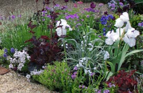 Mulching with gravel - Mediterranean garden beds from Weatherstaff landscaping design software