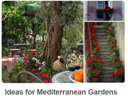 Mediterranean Garden @ uk.pinterest.com/plantingplanner