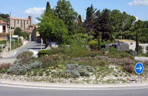 Silver, chartreuse and cool purple planting idea for a Mediterranean garden bed