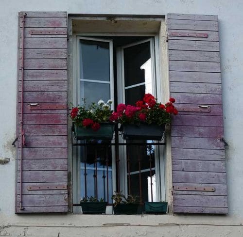 Windowboxes of red pelargoniums for a Mediterranean style garden