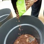 Add drainage material - container gardening guide from Weatherstaff garden design software