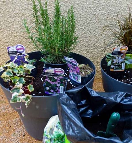 Arranging pots - guide to container planting from Weatherstaff landscape design software