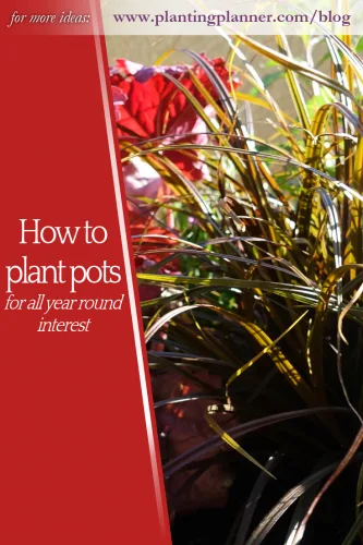 How to plant pots for all year interest - from Weatherstaff garden design software