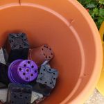 Recycle old pots in containers for all year round interest