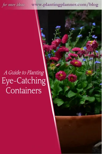 A guide to planting eye-catching containers - from Weatherstaff garden design software