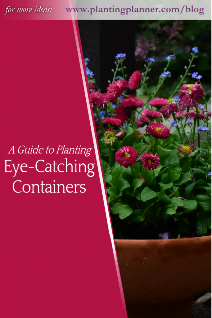 A guide to planting eye-catching containers - from Weatherstaff garden design software