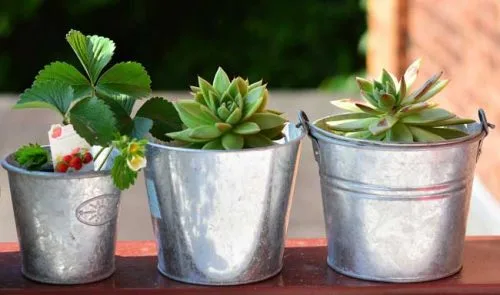 Metal pots from the Weatherstaff garden design software