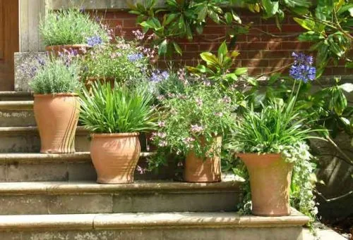 A collection of terracotta planting containers