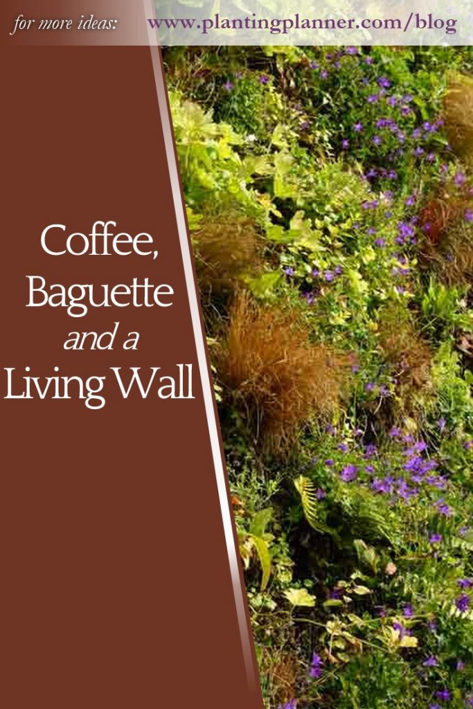 Coffee, baguette and a living wall - from Weatherstaff garden design software